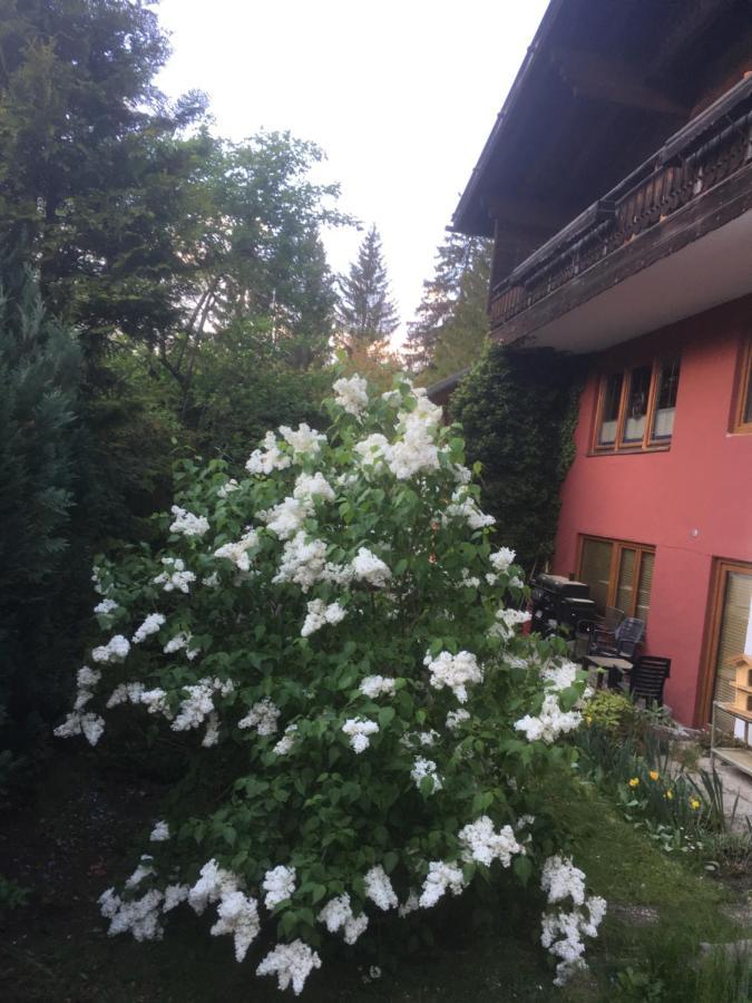 Ferienhaus Wieswald Ehrwald Exterior photo